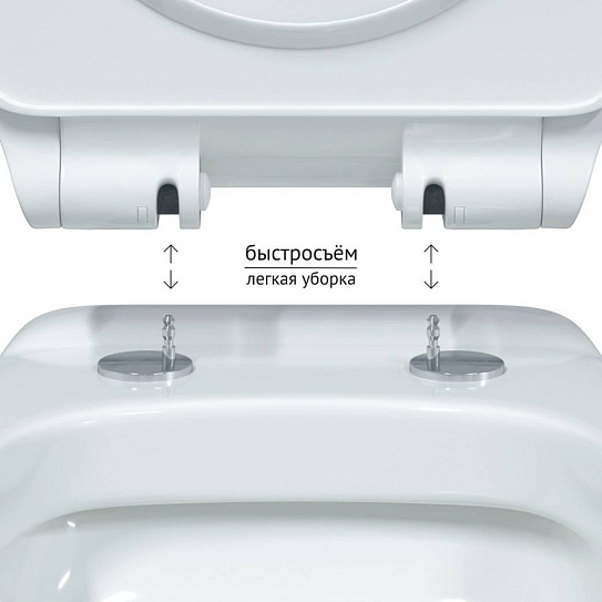 Унитаз подвесной безободковый Berges Albit S Rimless 082147