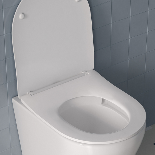 Универсальное сиденье для унитаза IDDIS Optima Home Soft Close Easy Fix 006 006DPSEi31 дюропласт