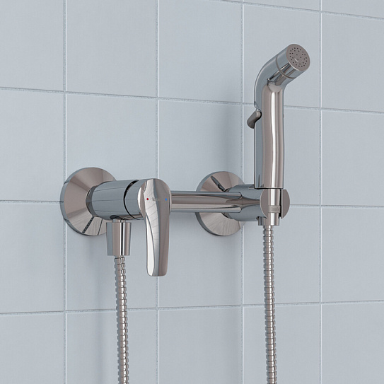 Смеситель с гигиеническим душем Iddis Ray RAYSB00i08