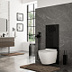 Унитаз с крышкой WasserKRAFT Mindel 2 в 1 H002.E034