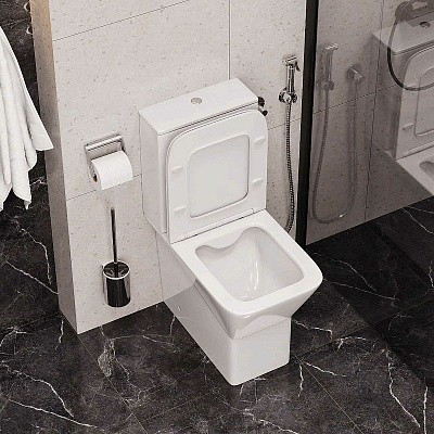 Унитаз компакт Cerutti SPA Ellero с бачком  с микролифт CT8458
