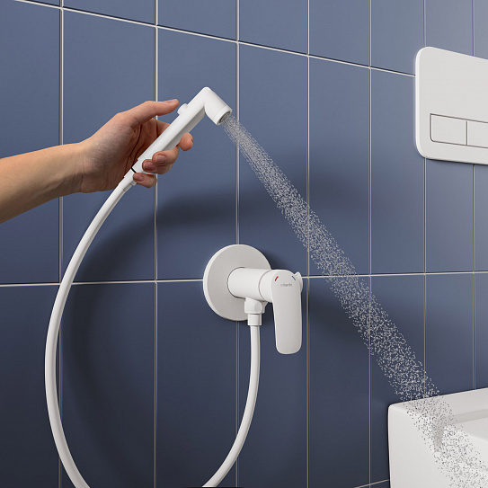 Встраиваемый смеситель с гигиеническим душем Milardo Rora белый матовый RORWTR0M08