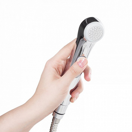 Смеситель для умывальника с гигиеническим душем Iddis Torr TORSB00i08