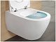 Унитаз подвесной Villeroy&Boch Subway 2.0 5614 RO 01