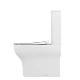 Унитаз с функцией биде Vitra Zentrum Back to Wall 9012B003-7226