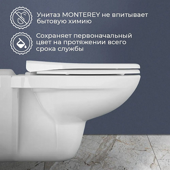 Унитаз подвесной безободковый Monterey Eco 7855N003-7146 с сиденьем