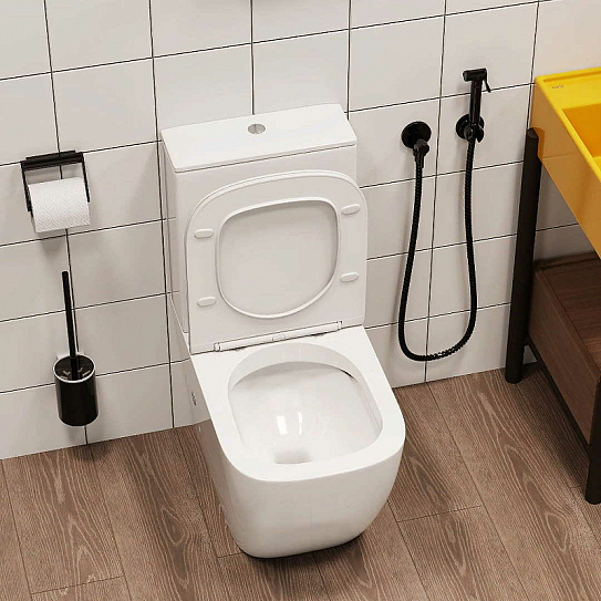 Унитаз компакт с микролифтом Cerutti SPA Mimi CT8707