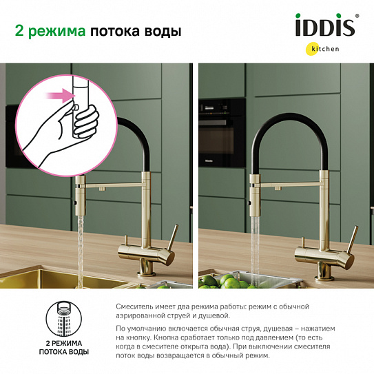 Смеситель для кухни с каналом для питьевой воды и гибким изливом Iddis Ace ACEMGFFi05