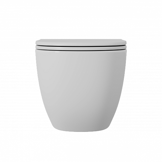 Унитаз подвесной безободковый с микролифтом D&K Matrix DT1396016