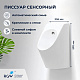 Писсуар подвесной RGW SW-90 400*306*590 80450290-01 белый