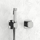 Смеситель встраиваемый с гигиеническим душем WasserKRAFT A8651.326.057.136