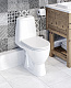 Унитаз-компакт Sanita Luxe Max (сиденье дюропласт, микролифт) MAXSLCC01040513