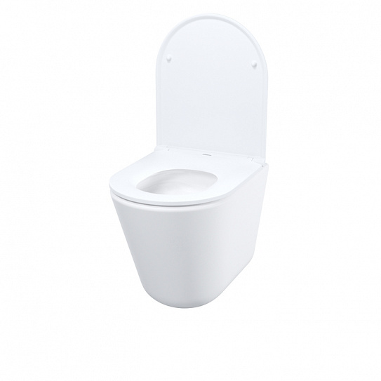 Унитаз подвесной безободковый Iddis Ray RAYRDSEi25