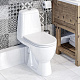 Унитаз-компакт Sanita Luxe Max (сиденье дюропласт, микролифт) MAXSLCC01040513
