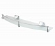 Полка стеклянная с бортиком WasserKraft Wern K-2544