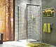 Душевое ограждение 90х90 WasserKRAFT Berkel 48P03 квадрат