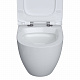 Унитаз подвесной Berges Okus 082127