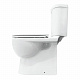 Унитаз-компакт Sanita Luxe Art дюропласт, микролифт WC.CC/Art/2-DM/WHT.G/S1
