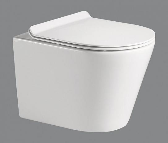 Унитаз подвесной безободковый P-trap Belbagno FLAY-R BB053CHR