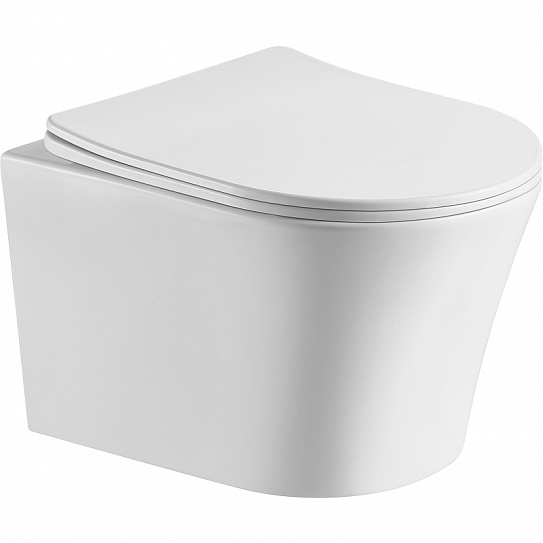 Унитаз подвесной безободковый с микролифтом Cerutti SPA Adige Aria CT7837
