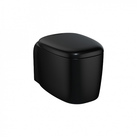 Унитаз подвесной безободковый черный Vitra Plural Rim-Ex  7830B483-0075
