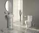 Унитаз-компакт Sanita Luxe Art Flora (крышка микролифт) ARTSLCC10040622