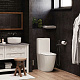 Унитаз компакт с бачком и сиденьем микролифт Cerutti SPA Bella CT8709