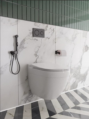 Унитаз подвесной безободковый Jaquar Solo SLS-WHT-6953BIUFSM