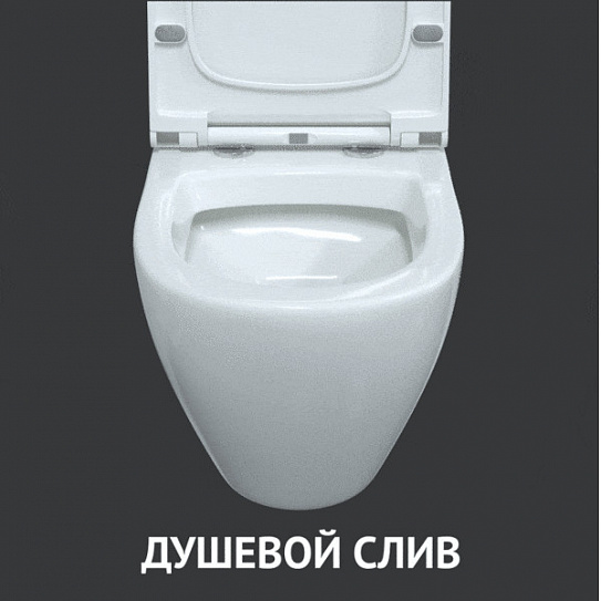 Комплект инсталляции с унитазом Berges Novum 043273
