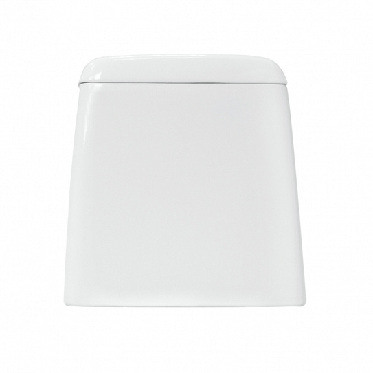 Унитаз-компакт Sanita Luxe Max (сиденье дюропласт, микролифт) MAXSLCC01040513