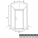 Душевое ограждение 100х100 трапеция ALEX BAITLER AB215-100, без поддона