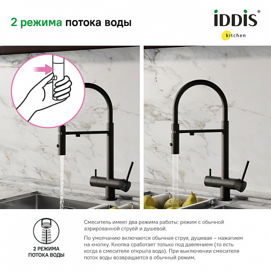 Смеситель для кухни с каналом для питьевой воды и гибким изливом Iddis Ace ACEBLFFi05