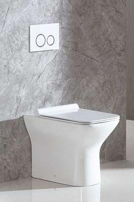 Унитаз приставной безободковый полное примыкание P-trap Belbagno ROMANO  BB248CBR