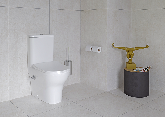 Унитаз с функцией биде Vitra Zentrum Back to Wall 9012B003-7226