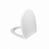 Сиденье для унитаза, полипропилен, Soft Close, IDDIS, 007, 007PPSCi31