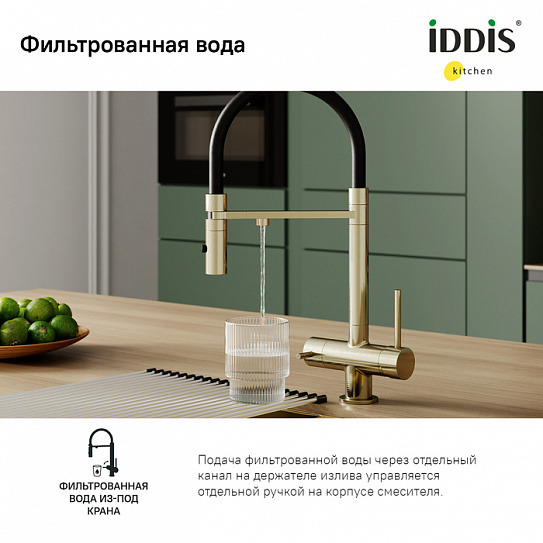Смеситель для кухни с каналом для питьевой воды и гибким изливом Iddis Ace ACEMGFFi05
