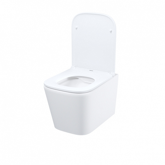 Унитаз подвесной безободковый Iddis Bild BILRNSEi25