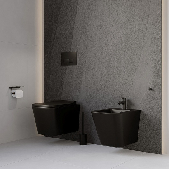 Биде Iddis Bild BILRB02i82