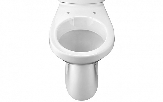 Чаша унитаза с вертикальным выпуском Santek Анимо 1WH110396