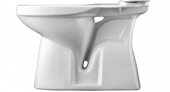 Чаша унитаза с вертикальным выпуском Santek Анимо 1WH110396