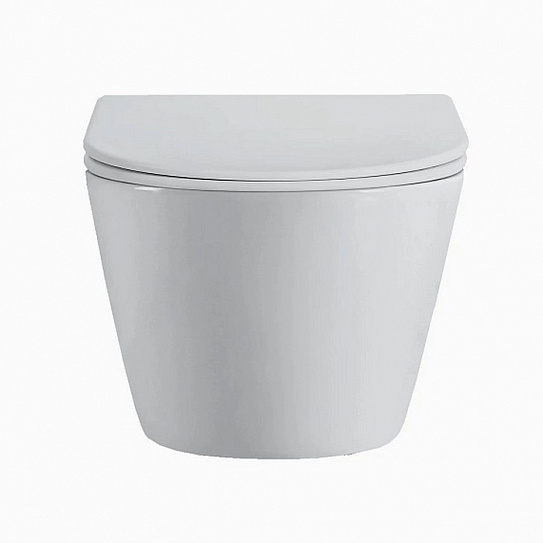 Унитаз подвесной безободковый торнадо D&K Rhein.Bach DT1476516, сиденье микролифт