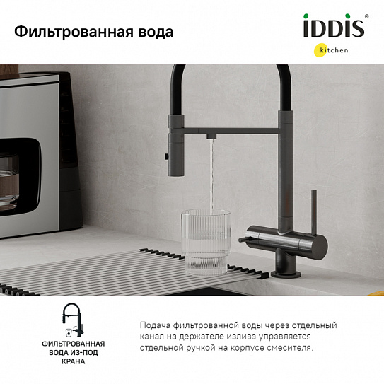 Смеситель для кухни с каналом для питьевой воды и гибким изливом Iddis Ace ACEGMFFi05 (графит матовый)