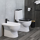 Унитаз-компакт Sanita Luxe Best Color Black (сиденье дюропласт, микролифт) BSTSLCC06100522
