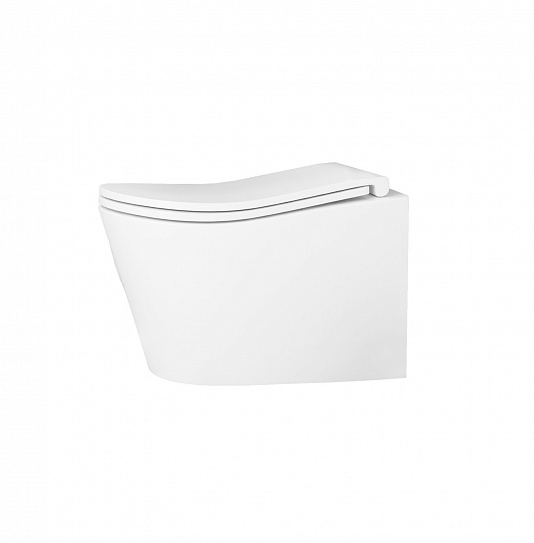 Унитаз подвесной безободковый торнадо D&K Bamberg DT1556516 микролифт