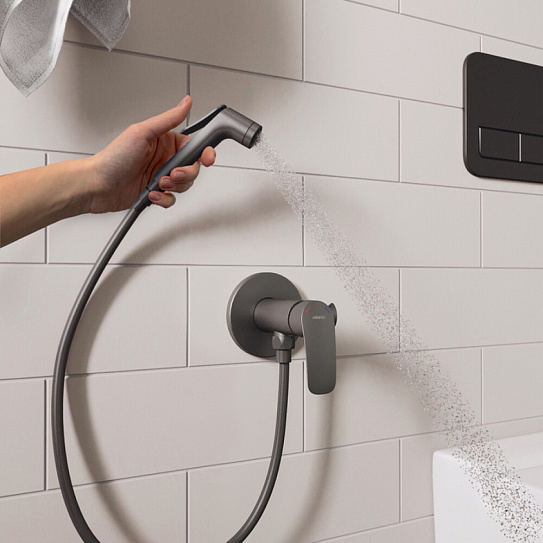Встраиваемый смеситель с гигиеническим душем, графит, Milardo Rora RORGMR0M08
