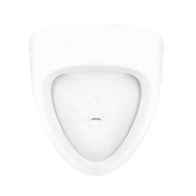 Писсуар Sanita Luxe Long LNGSLUR01