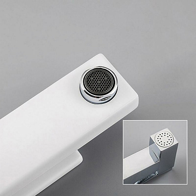 Смеситель с гигиеническим душем Gappo G17-8 G1017-1