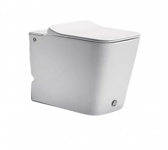 Приставной безбачковый унитаз с функцией импульсного смыва Ceruttispa Disgrazia Pulse CT7269